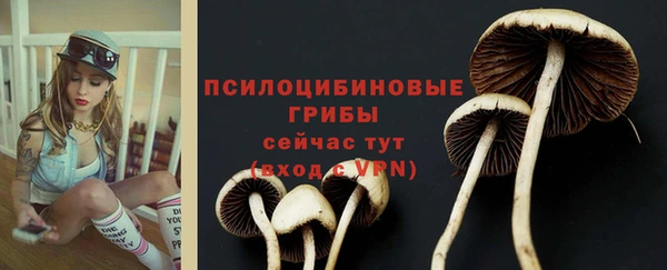 экстази Алзамай