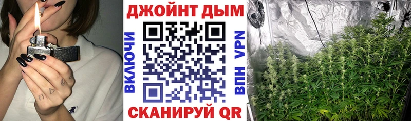 наркошоп  Асино  Конопля планчик 